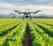 Zukunftsberufe im Precision Farming (Foto: AdobeStock - 913576282 Pachara)